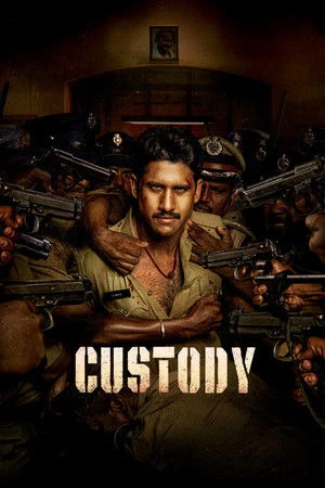 Custody 2023 Hindi Dual Audio WEB-DL 720p - 480p - 1080p