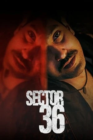 Sector 36 2024 Hindi Dual Audio WEB-DL 720p - 480p - 1080p